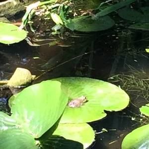 Meet your Posher, Maryjo